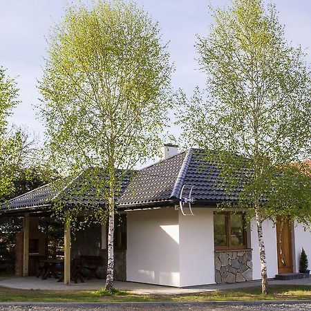 "Miedzy Gruszka A Sanem" Apartment Lesko Bagian luar foto